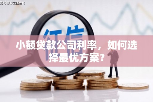弋阳小额贷款公司利率，如何选择最优方案？