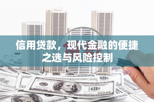 弋阳信用贷款，现代金融的便捷之选与风险控制