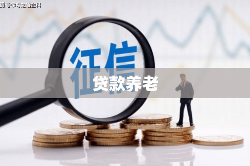 弋阳贷款养老