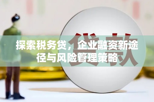 弋阳探索税务贷，企业融资新途径与风险管理策略
