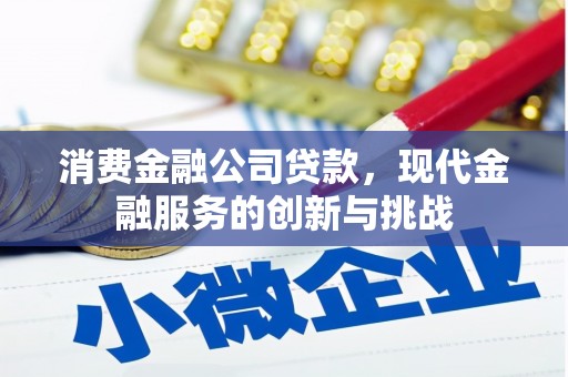 弋阳消费金融公司贷款，现代金融服务的创新与挑战