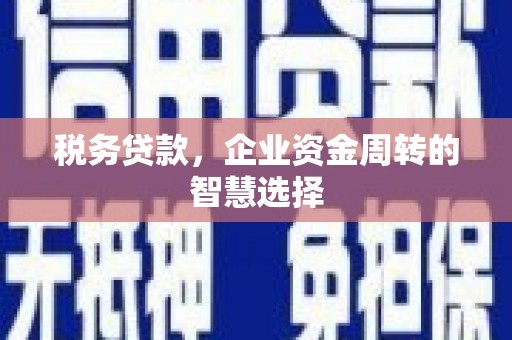 弋阳税务贷款，企业资金周转的智慧选择
