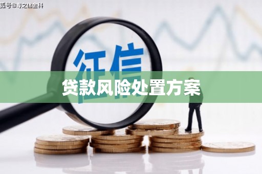 弋阳贷款风险处置方案