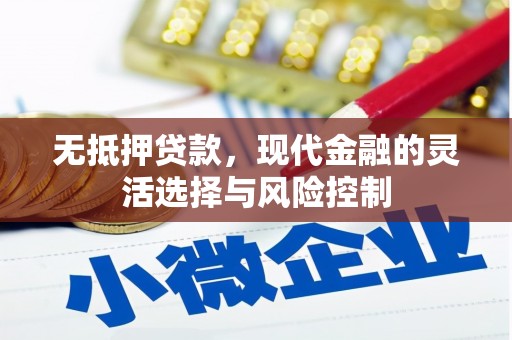 弋阳无抵押贷款，现代金融的灵活选择与风险控制
