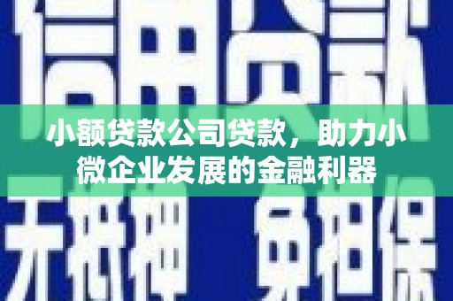 弋阳小额贷款公司贷款，助力小微企业发展的金融利器