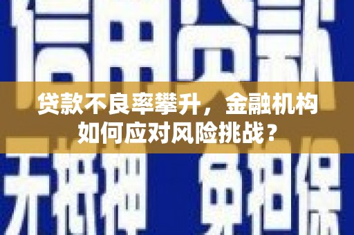 弋阳贷款不良率攀升，金融机构如何应对风险挑战？