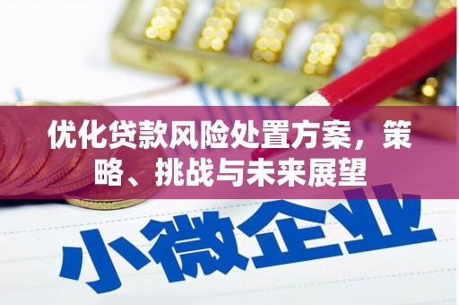 弋阳优化贷款风险处置方案，策略、挑战与未来展望