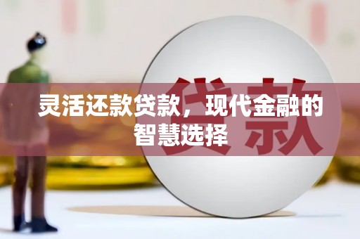 弋阳灵活还款贷款，现代金融的智慧选择