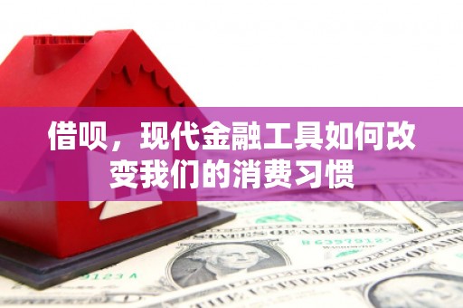 弋阳借呗，现代金融工具如何改变我们的消费习惯