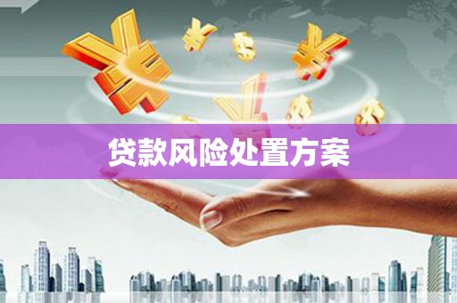 弋阳贷款风险处置方案