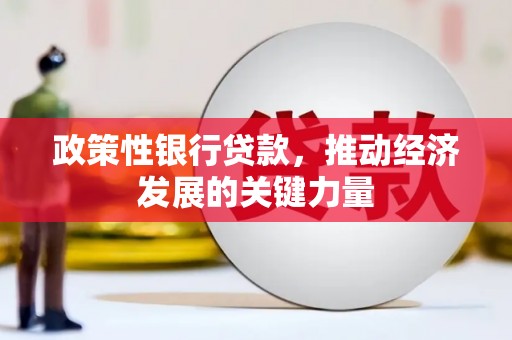 弋阳政策性银行贷款，推动经济发展的关键力量