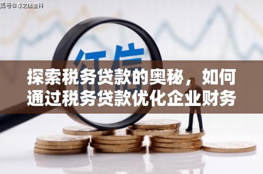 弋阳探索税务贷款的奥秘，如何通过税务贷款优化企业财务