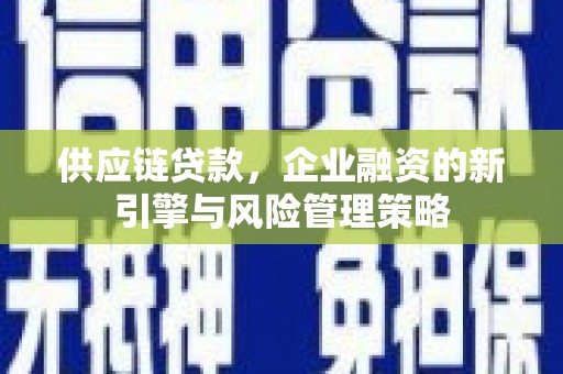 弋阳供应链贷款，企业融资的新引擎与风险管理策略