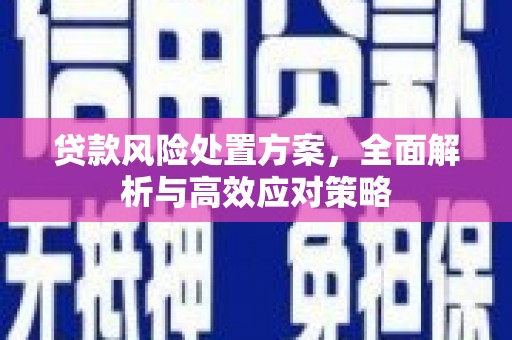 弋阳贷款风险处置方案，全面解析与高效应对策略