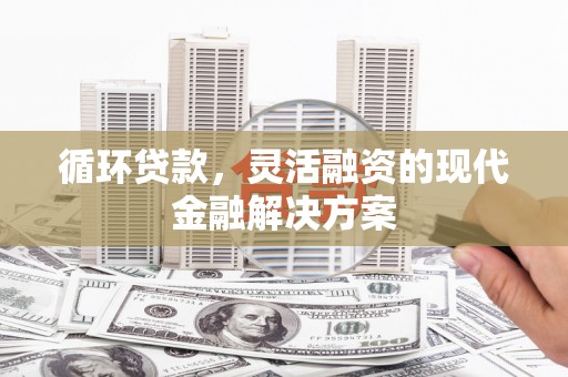 弋阳循环贷款，灵活融资的现代金融解决方案
