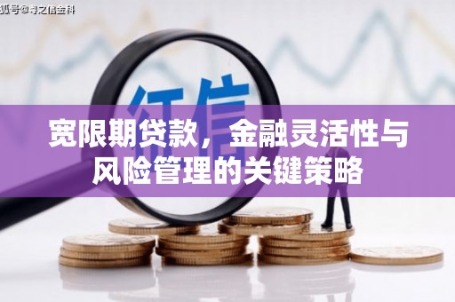 弋阳宽限期贷款，金融灵活性与风险管理的关键策略