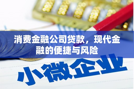 弋阳消费金融公司贷款，现代金融的便捷与风险
