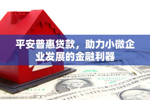 弋阳平安普惠贷款，助力小微企业发展的金融利器