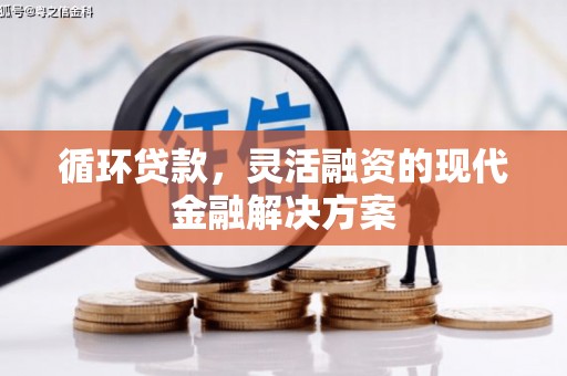 弋阳循环贷款，灵活融资的现代金融解决方案
