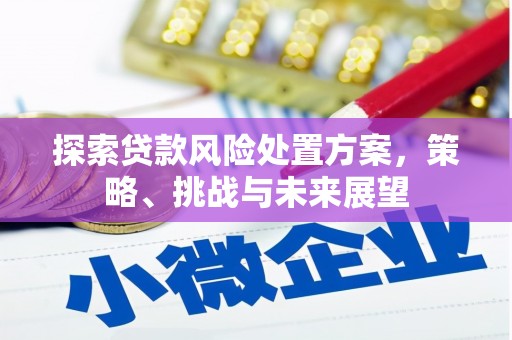 弋阳探索贷款风险处置方案，策略、挑战与未来展望