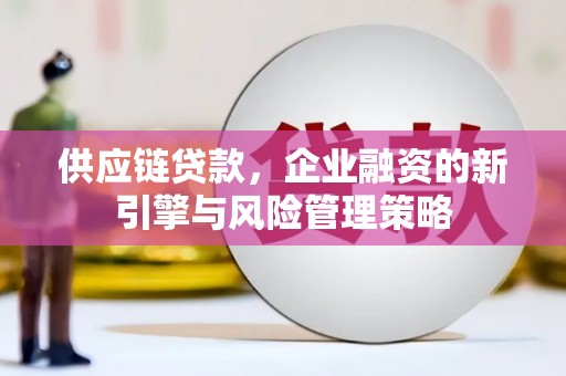 弋阳供应链贷款，企业融资的新引擎与风险管理策略