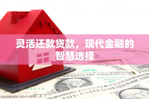 弋阳灵活还款贷款，现代金融的智慧选择