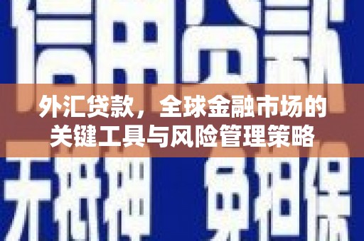 弋阳外汇贷款，全球金融市场的关键工具与风险管理策略
