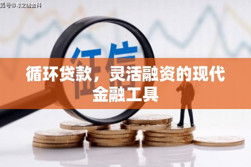 弋阳循环贷款，灵活融资的现代金融工具