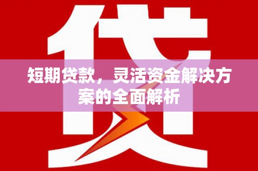 弋阳短期贷款，灵活资金解决方案的全面解析
