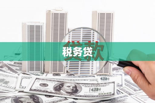 弋阳税务贷