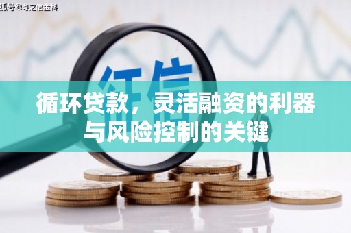 弋阳循环贷款，灵活融资的利器与风险控制的关键