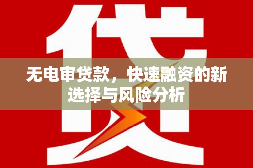 弋阳无电审贷款，快速融资的新选择与风险分析