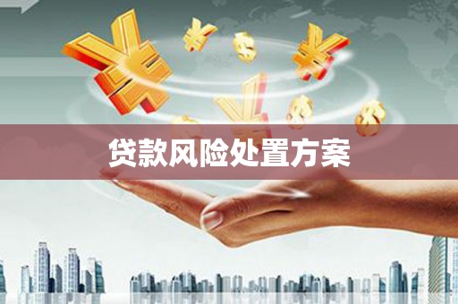 弋阳贷款风险处置方案