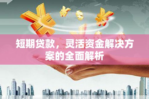 弋阳短期贷款，灵活资金解决方案的全面解析