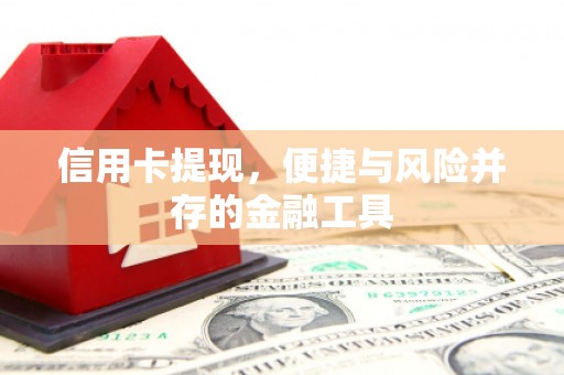 弋阳信用卡提现，便捷与风险并存的金融工具