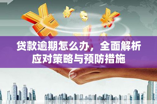 弋阳贷款逾期怎么办，全面解析应对策略与预防措施