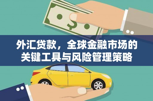 弋阳外汇贷款，全球金融市场的关键工具与风险管理策略