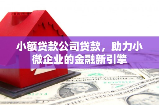 弋阳小额贷款公司贷款，助力小微企业的金融新引擎