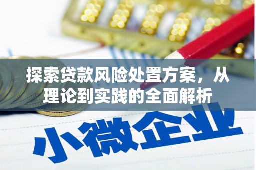 弋阳探索贷款风险处置方案，从理论到实践的全面解析