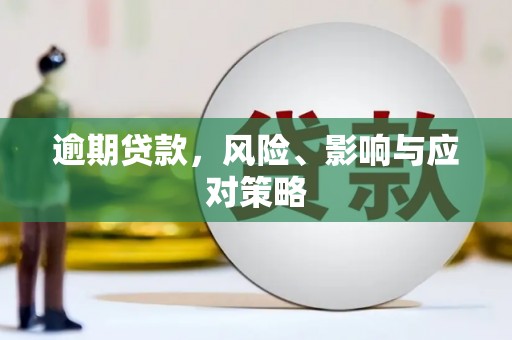 弋阳逾期贷款，风险、影响与应对策略