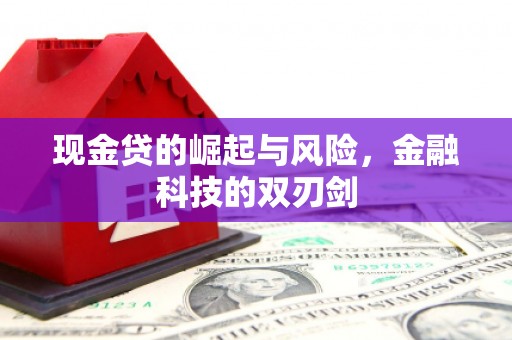 弋阳现金贷的崛起与风险，金融科技的双刃剑