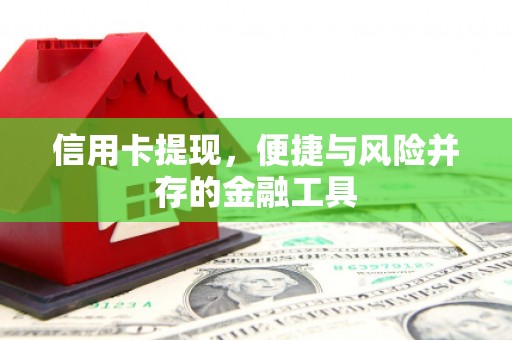 弋阳信用卡提现，便捷与风险并存的金融工具