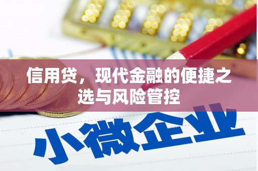 弋阳信用贷，现代金融的便捷之选与风险管控