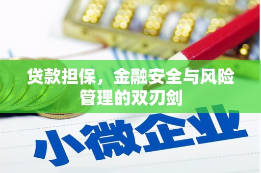 弋阳贷款担保，金融安全与风险管理的双刃剑