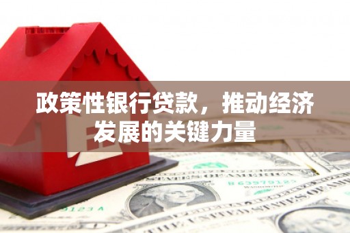 弋阳政策性银行贷款，推动经济发展的关键力量