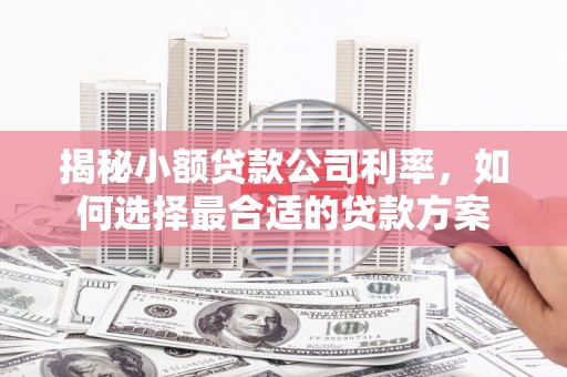 弋阳揭秘小额贷款公司利率，如何选择最合适的贷款方案