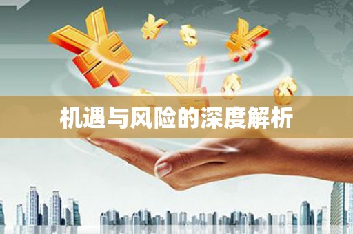 弋阳机遇与风险的深度解析
