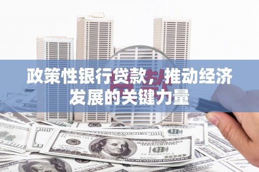 弋阳政策性银行贷款，推动经济发展的关键力量