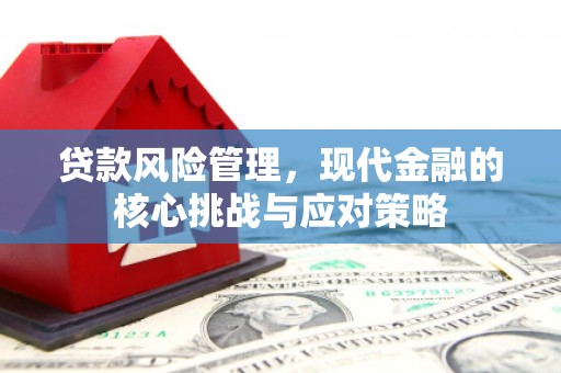弋阳贷款风险管理，现代金融的核心挑战与应对策略