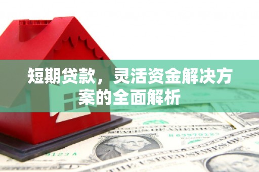 弋阳短期贷款，灵活资金解决方案的全面解析